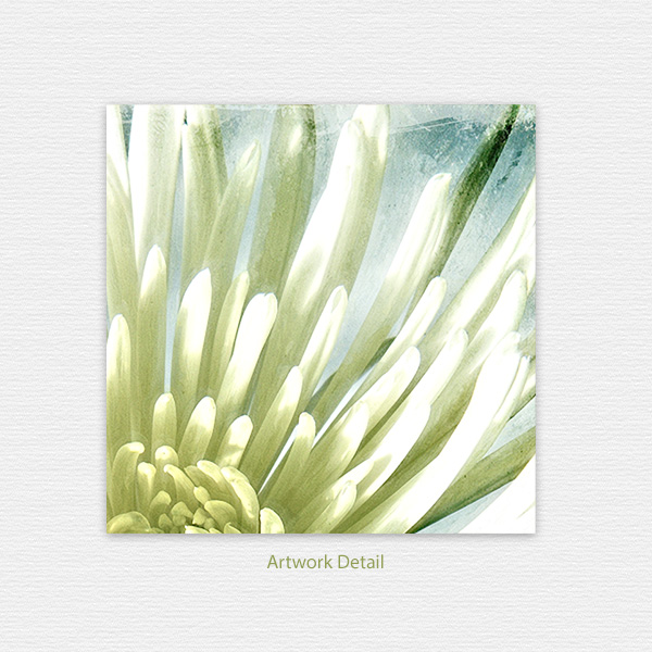 Burst Note Card Detail