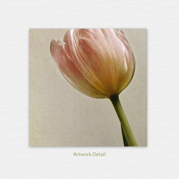 tulip note card detail