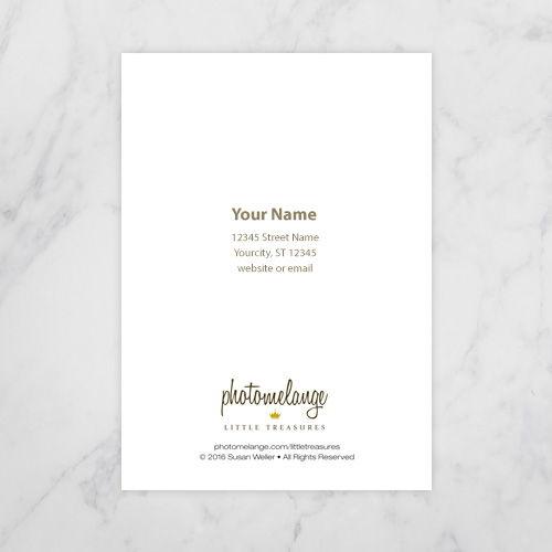 gch-back-samples-sanserif