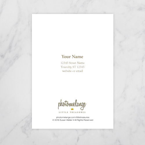 gch-back-samples-serif
