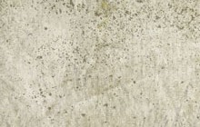 Detail Sample