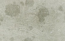 03292012_patined_feature