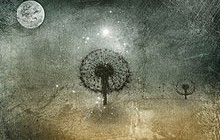 dreamland_feature