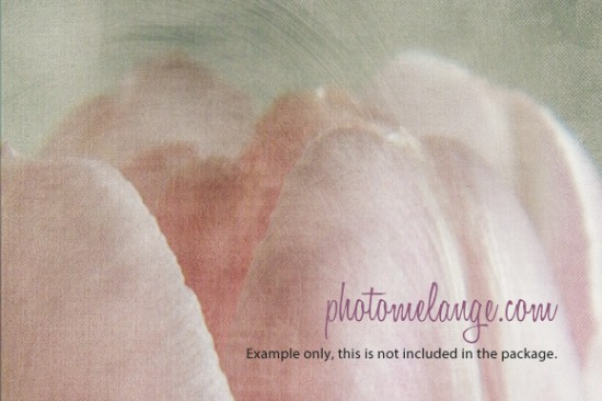 post processing texture sample with tulip